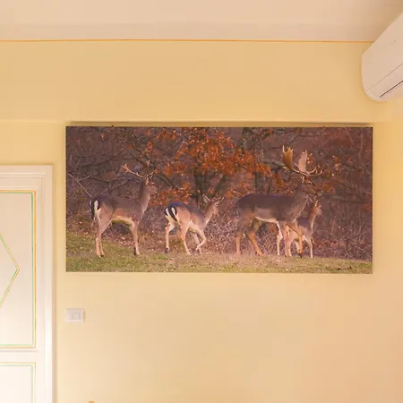 Prázdninový dům Ibibiena - Casa Capo D'arno *